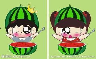 王头头吃瓜趣事,一场欢乐的瓜界盛宴