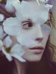 花颜吃瓜后续剧情,豪门恩怨再掀波澜