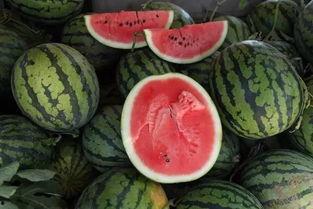 梦见买瓜给逝者吃,买瓜祭奠，穿越生死情缘