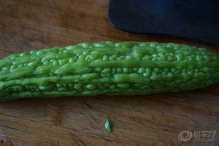 一瓜两吃优惠,双重美味，尽享优惠盛宴