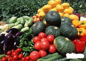 吃瓜菜的好处,健康生活新选择，揭秘吃瓜菜的多重益处