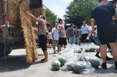 宁夏师范大学吃瓜,校园吃瓜文化盛行，揭秘校园生活趣味瞬间