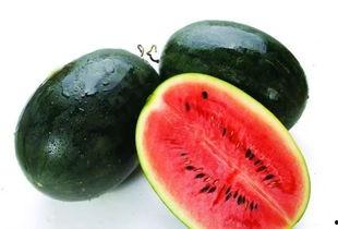 海南哪里吃瓜好,探寻海南最佳吃瓜胜地