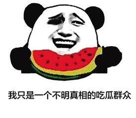 吃大大的瓜,那些年我们吃过的“大大瓜”