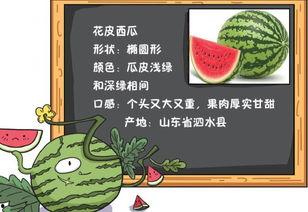 吃瓜的拼读,揭秘“吃瓜”背后的趣味与真相