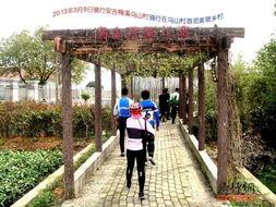 安吉梅溪吃瓜,揭秘当地特色“吃瓜”文化