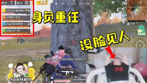和平精英吃鸡吃瓜